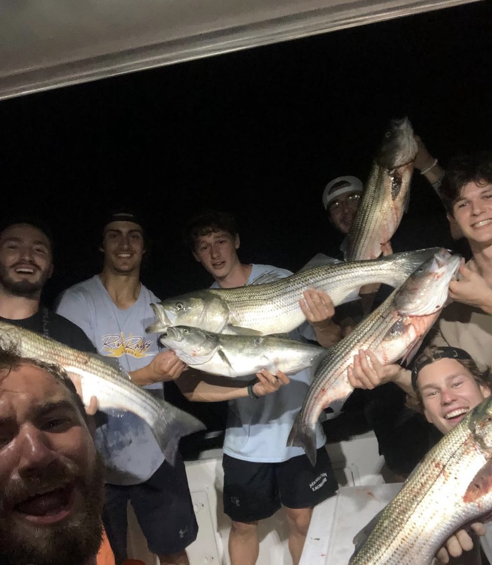 A full crew holding a night's haul of striped bass aboard Captain Insaneo Charters