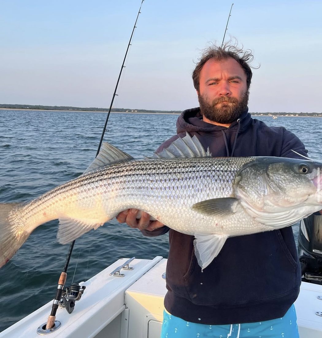 Capt. Renz with a striped bass at dusk on the Long Island Sound