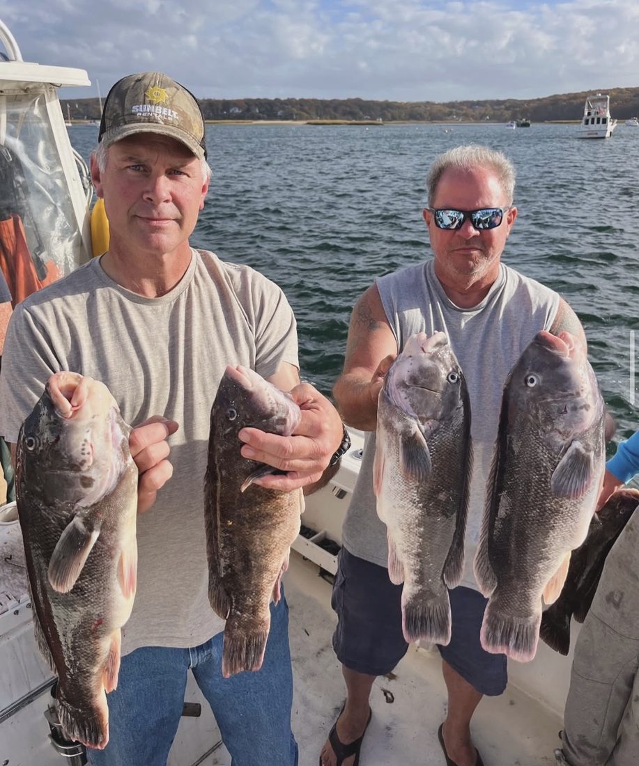 Two anglers with blackfish on the Long Island Sound
